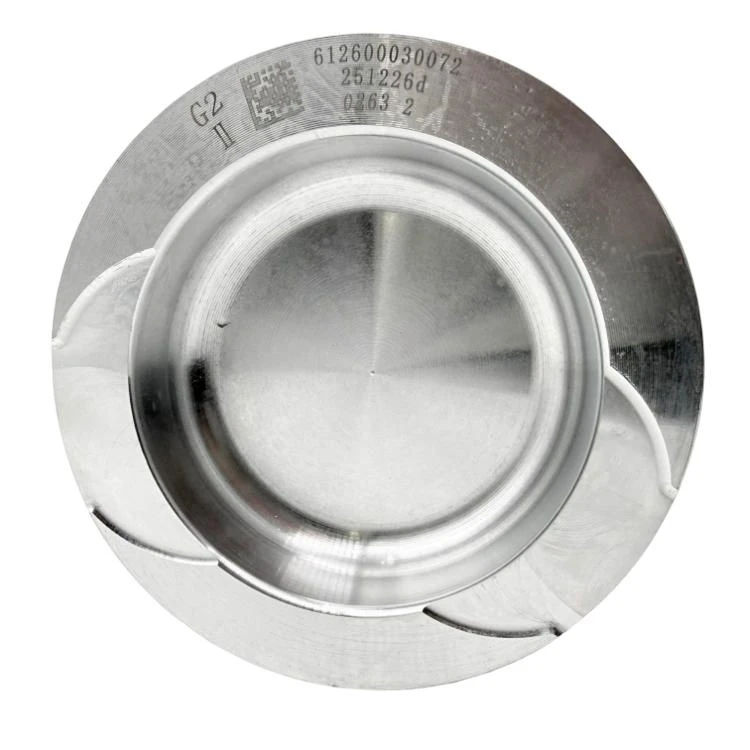 Piston For SDEC D6114 Engine suppliers